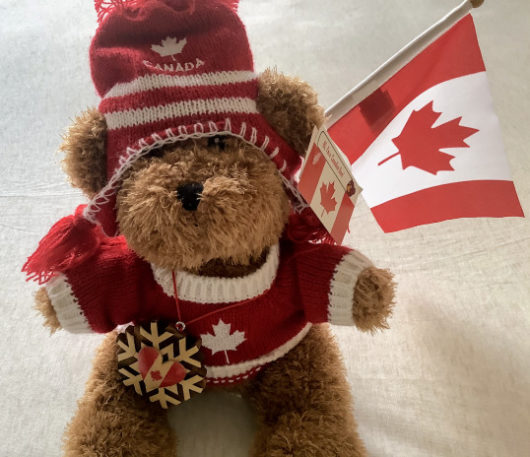 Canada bear