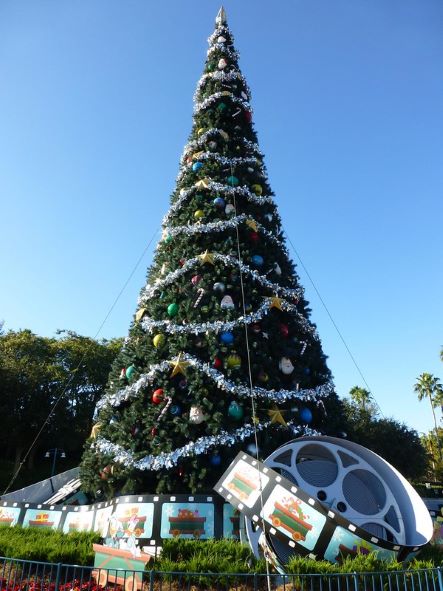 Christmas Tree at Disney's Hollywood Studios