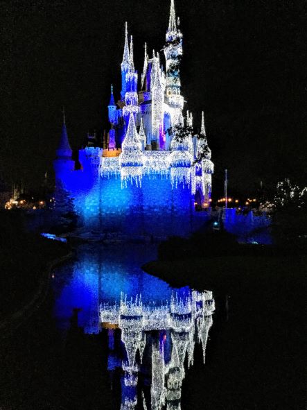 Dream Lights Cinderella Castle